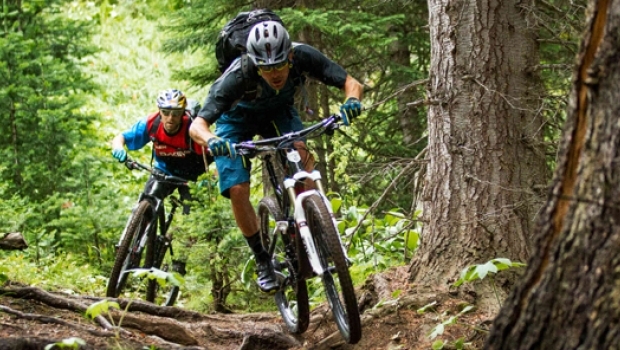 How To Set Up Your Mountain Bike’s Cockpit Perfectly | Teton Gravity ...