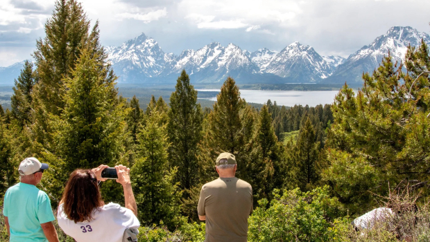 Bear Attack in Grand Teton National Park Leaves Man Hospitalized, Marks