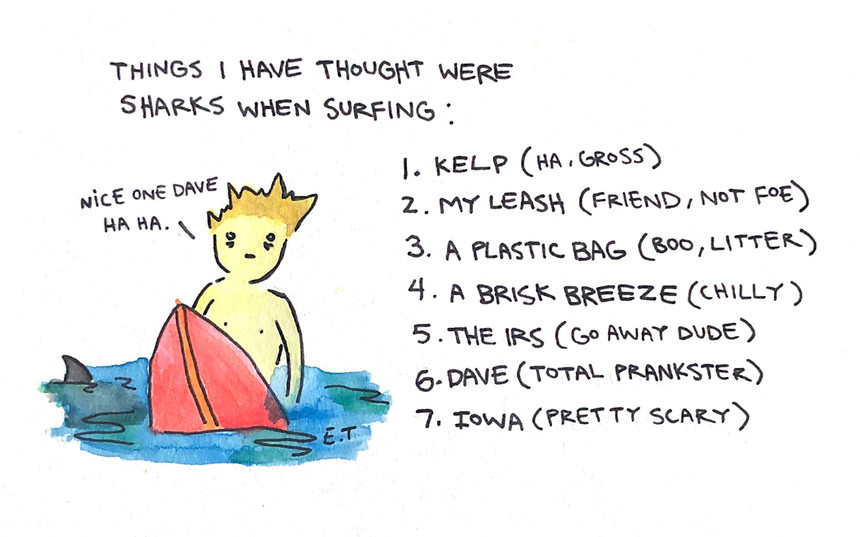 Anything and Everything is a Shark Anything and Everything is a Shark